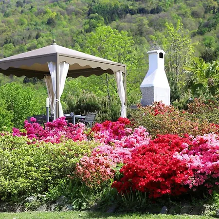 Legnoncino Home- * Colico