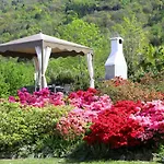 Legnoncino Home- * 콜리코